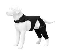 Genouillère pour chien avec plaques en acier, support de patte réglable pour déchirure du LCA, convalescence après chirurgie, troubles chroniques, articulation stable, manchon en néoprène, soin de la