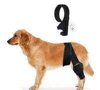 Genouillère pour chien - Avec velcro réglable - Avec 2 stabilisateurs à ressort en métal - Protection (XS)