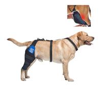 Genouillère pour chien pour patte arrière déchirée du LCA, avec packs de gel chaud/froid, aide à soulager les raideurs articulaires et les blessures ligamentaires, jambe arrière droite, taille M