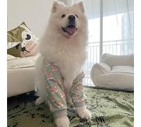 Genouillère pour chien - Respirante et mignonne imprimée - Manchon confortable pour éviter le léchage et la mastication - Pour chiens de taille moyenne et grande - Utilisation quotidienne en extérieur