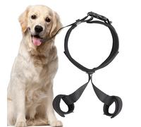 Genouillère pour chien - Soutien articulaire en cas de luxation rotulienne - Bandage orthopédique en cas de faiblesse des jambes - Bandage de soutien pour la rééducation, stabilisation des