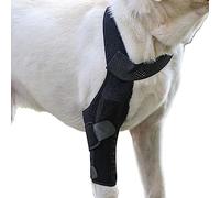 Genouillère pour chien | Support de jambe arrière pour gros chiens - Support de hanche à jambe arrière avec bande métallique Protection des jambes respirante à haute élasticité Raxove
