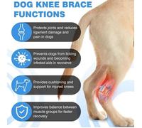 Genouillère pour chien taille L - Protection pour les genoux de chiots et autres animaux de compagnie - Genouillères pour chiens et