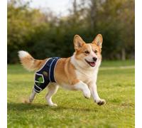 Genouillère pour chiens avec ligament croisé déchiré, attelle réglable pour jambe arrière ou avant avec lésion ligamentaire croisée, soulagement des douleurs articulaires chaudes pour animaux de