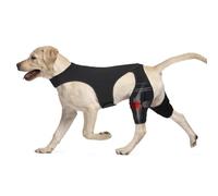 Genouillère pour patte arrière pour chien de grande et petite taille, pour luxation de la rotule, dysplasie de la hanche, déchirure de la patte arrière du LCA, blessures ligamentaires (taille L)