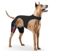 Genouillère pour patte arrière pour chien de grande et petite taille, pour luxation de la rotule, dysplasie de la hanche, déchirure de la patte arrière du LCA, blessures ligamentaires (taille XXL)