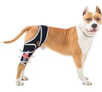 Genouillère réglable pour chien déchiré ACL CCL CCL, stabilisateur orthopédique de jambe pour chiens de petite, moyenne et grande taille, aide à la mobilité et à la mobilité