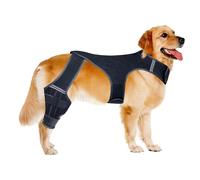Genouillères pour Chien Patte Arrière Manchon De Genou Ajustable | 4 Stabilisateurs Métalliques Soutien Hanche Pour Marche, Exercice, Activités Extérieures, Parc, Plage, Maison