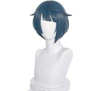Genshin Impact Ventier Keqing Barbara Diluc Kaeya Noelle Voyageur Lumine Ather Amber Cosplay Perruque de Cheveux résistant à la Chaleur + Wigcap Onesize Noelle ( Color : Xingqiu , Size : OneSize )