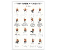 Gentle Exercise Poster for Seniors Seated Chair Workout Illustrated Chart Balance and Posture Guide Wall Art for Home or Senior Living Decor(Framed,16x24inch(40x60cm))