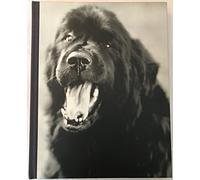 Gentle Giants: A Book of Newfoundlands