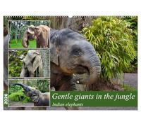 Gentle giants in the jungle (Wall Calendar 2026 DIN A2 landscape), CALVENDO 12 Month Wall Calendar: Portraits of Indian elephants