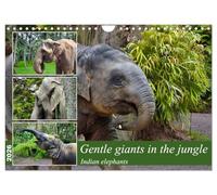 Gentle giants in the jungle (Wall Calendar 2026 DIN A4 landscape), CALVENDO 12 Month Wall Calendar: Portraits of Indian elephants