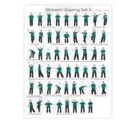 Gentle Qigong Flow Poster 18 Movements Exercise Chart Chinese Mind Body Practice Canvas Wall Art Decor(Framed,12x18inch(30x45cm))