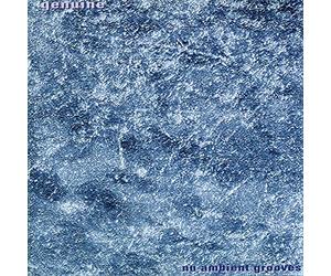 Genuine - Nu Ambient Grooves [Import]