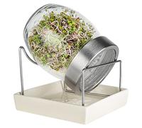 Geo Germoir Verre Brun 14,5 x 15 x 15,5 cm