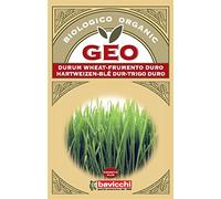 Bavicchi Graines Germées Bio "Blé Dur" - 80 g