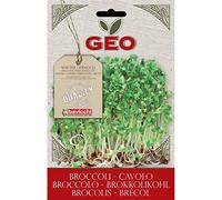 Geo Graine à Germer Brocolis Brun 12,7 x 0,7 x 20 cm