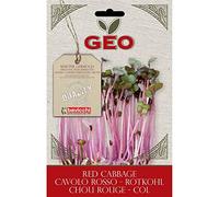 Bavicchi Graines Germées Bio "Chou Rouge" - 12 g