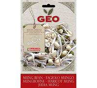 Geo Graine à Germer Haricot Mung Brun 12,7 x 0,7 x 20 cm, Packet