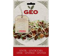 Geo Graine à Germer Lentille Brun 12,7 x 0,7 x 20 cm