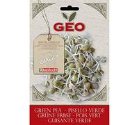 Geo Graine à Germer Pois Vert Brun 12,7 x 0,7 x 20 cm