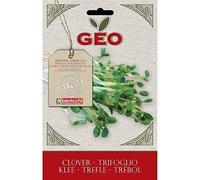 Geo Graine À Germer Trefle Brun 12,7 X 0,7 X 20 Cm - Ztr0103