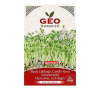 GEO Graines à Germer - Chou Kale Noir - Graines à Cultiver Bio pour Salades et Plats avec Germination Rapide pour Culture en Germoir - 12g