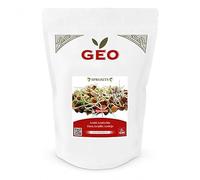 GEO Graines à Germer - Lentille - Graines à Cultiver Bio pour Salades et Plats avec Germination Rapide pour Culture en Germoir - 600g