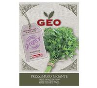 Geo Perejil géant de Napoli semblable Geo 8 g 200 g