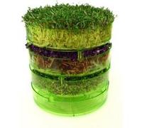 Bavicchi Germoir pour Graines à Germer "Geo Plus" - 1 pcs.