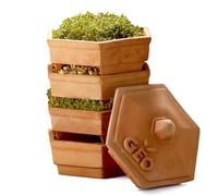 Geo Terradisiena Germoir Poterie Brun 19 x 19 x 31 cm