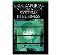 Geographic Information Systems In Business