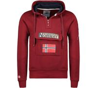Geographical Norway Hoodie / Pullover Gymclass Db Men 100 L