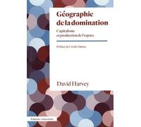 Géographie de la domination: Capitalisme et production de l'espace
