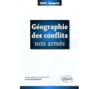 Géographie des conflits non armés