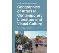 Geographies Of Affect In Contemporary Literature And Visual Culture