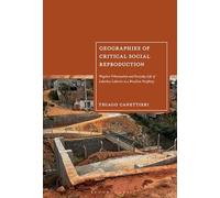 Geographies of Critical Social Reproduction: Wageless Urbanization and Everyday Life of Laborless Laborers in a Brazilian Periphery