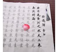 GeOinQL cahier d'exercices Hanzi, 10 feuilles pinceau cahier classiques chinois poème chinois petit Script régulier en cours d'exécution Script