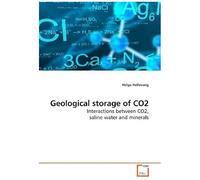 Geological Storage Of Co2: Interactions Between Co2, Saline Water And Minerals