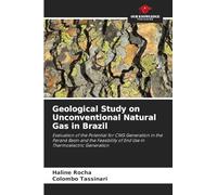 Geological Study on Unconventional Natural Gas in Brazil