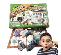 Geologisches Stein-Set | 15-teilige Erz-Mineralien-Sammelbox | Lehrreiches Edelstein-Kristall-Probenset mit Infokarte | Für Lehrer, Kinder, Schule, Studium, naturwissenschaftliche Präsentation, Mint,
