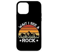 Geologue géologue Wait I See A Rock Collector Coque pour iPhone 12 Mini