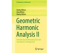Geometric Harmonic Analysis: Function Spaces Measuring Size and Smoothness on Rough Sets (2)