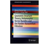 Geometric Invariant Theory, Holomorphic Vector Bundles And The Harder-Narasimhan Filtration