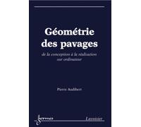 Géométrie des pavages. De la conception à la réalisation sur ordinateur - Monique QUEINNEC - Hermes Science Publications - broché - Etude