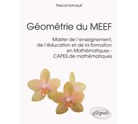 Géométrie Du Meef - Master De L'enseignement, De L'éducation Et De La Formation En Mathématiques Capes De Mathématiques