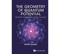 Geometry Of Quantum Potential, The: Entropic Information Of The Vacuum - [Livre en VO] Davide Fiscaletti (Auteur)