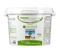Geomicor Radicant Solid, (1 kg), inoculo granulare di funghi micorrizici e batteri della rizosfera per ortaggi, piante e fiori