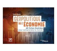 Géopolitique de l'économie Sylvie Matelly (Auteur)